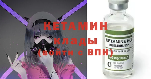 сатива Ельня